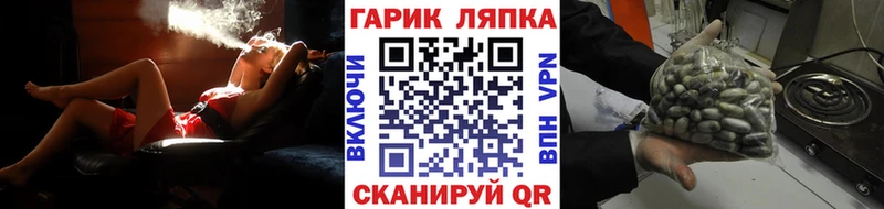 как найти закладки  Малаховка  ГАШИШ индика сатива 
